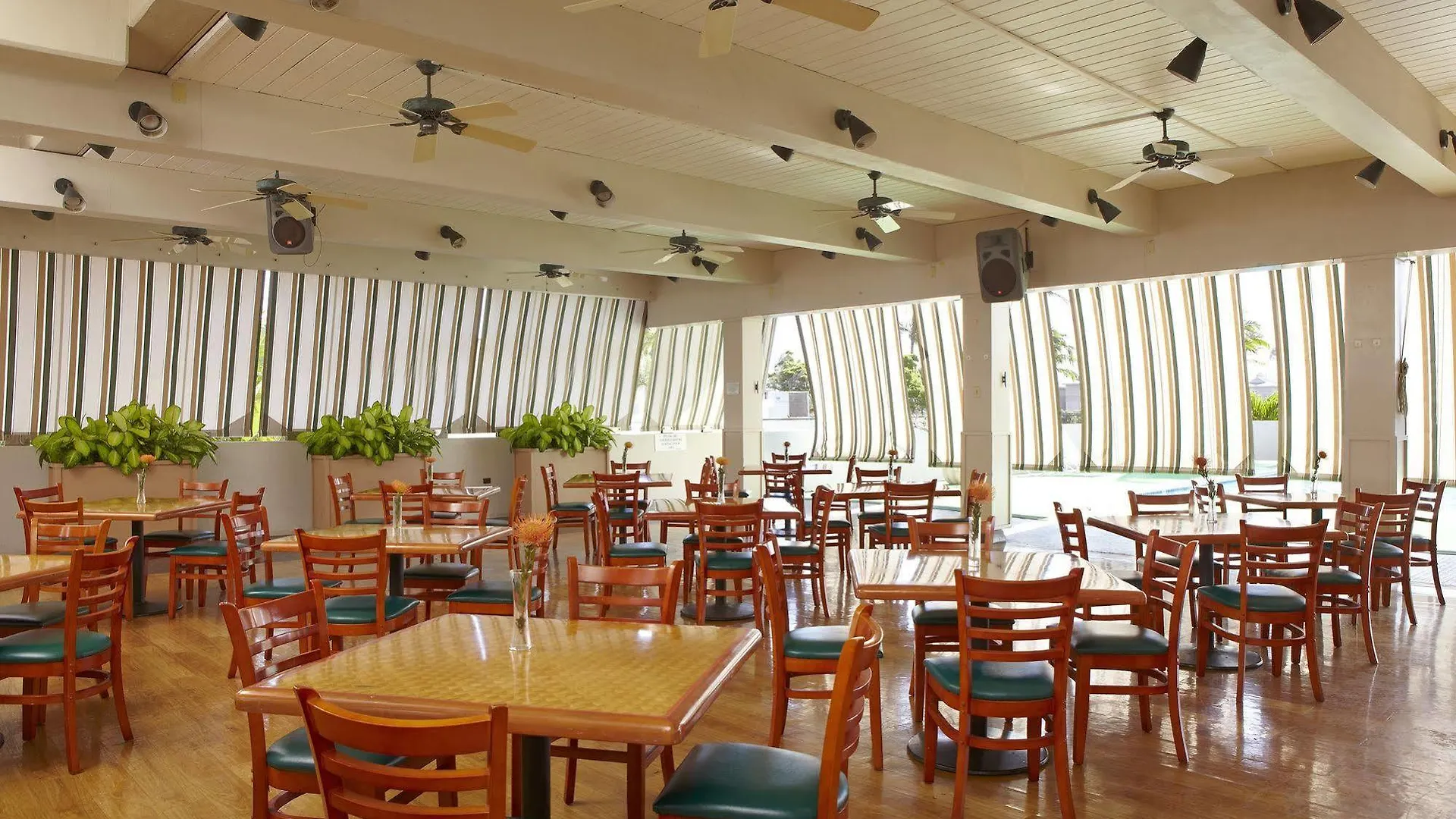 הונולולו Pagoda Hotel 2*,  ארצות הברית